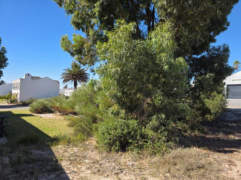 3 Bedroom Property for Sale in Shelley Point Western Cape